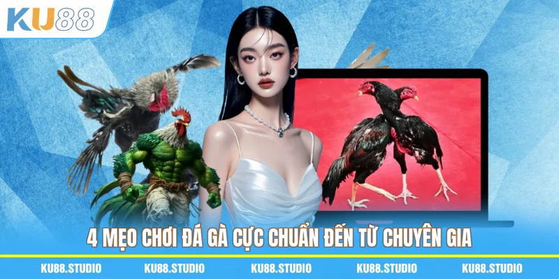 4 mẹo chơi đá gà cực chuẩn đến từ chuyên gia