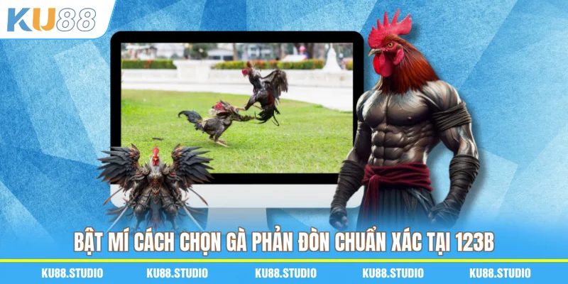 Bật mí cách chọn gà phản đòn chuẩn xác tại 88M