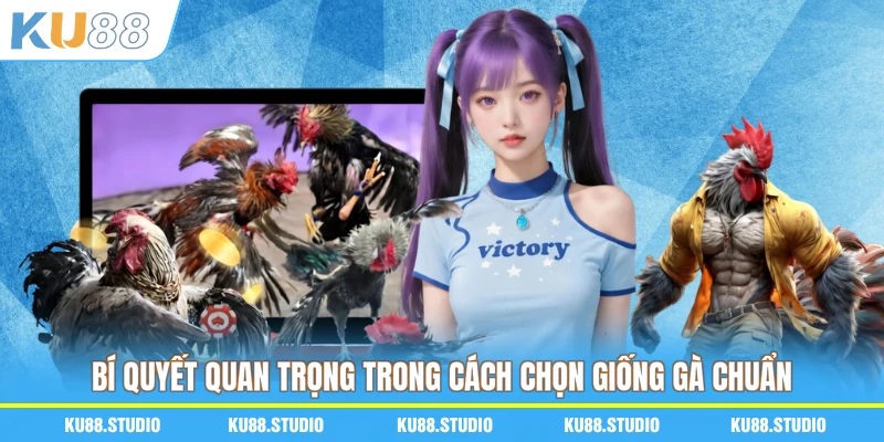 Bí quyết quan trọng trong cách chọn giống gà chuẩn