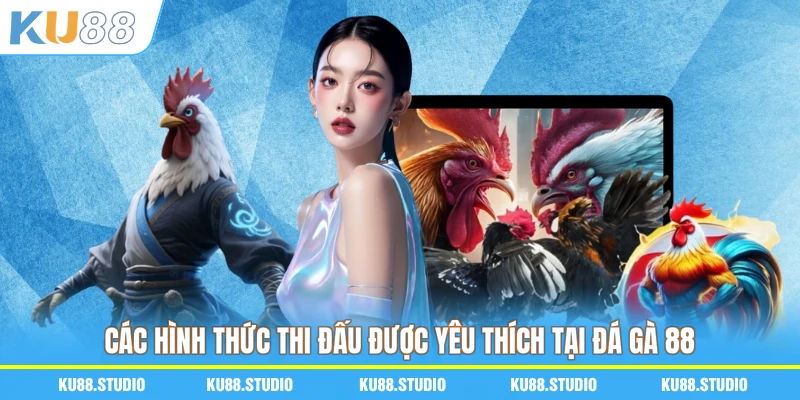 Các hình thức thi đấu được yêu thích tại đá gà 88