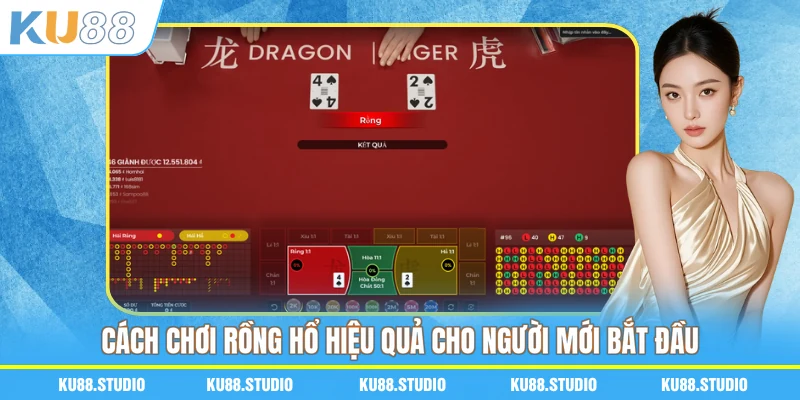 Cách chơi Rồng Hổ hiệu quả cho người mới bắt đầu
