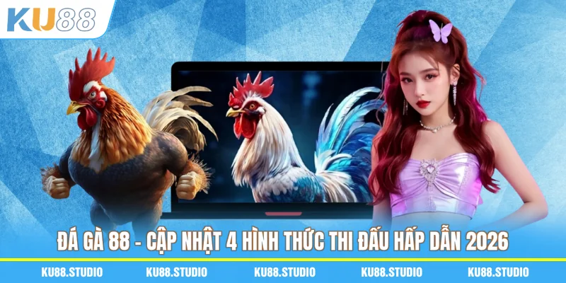 Đá Gà 88 - Cập Nhật 4 Hình Thức Thi Đấu Hấp Dẫn 2026