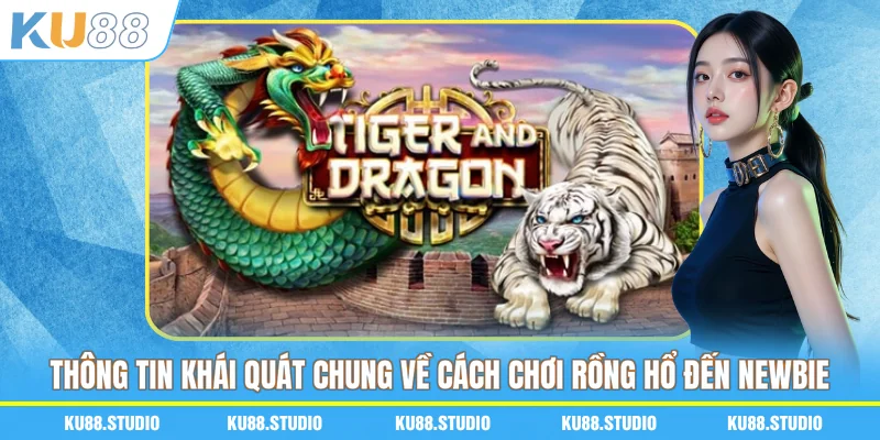 Thông tin khái quát chung về cách chơi Rồng Hổ đến newbie