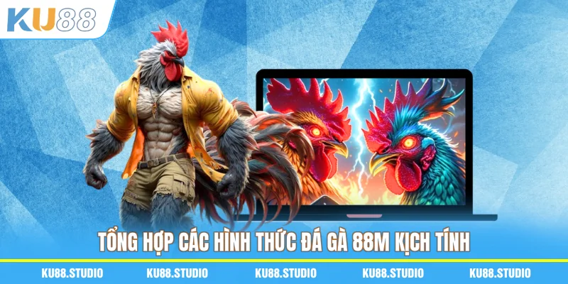 Tổng hợp các hình thức đá gà 88M kịch tính
